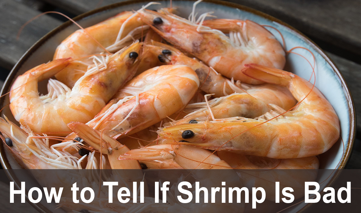 How to Tell If Shrimp Is Bad? - Acadia House Provisions