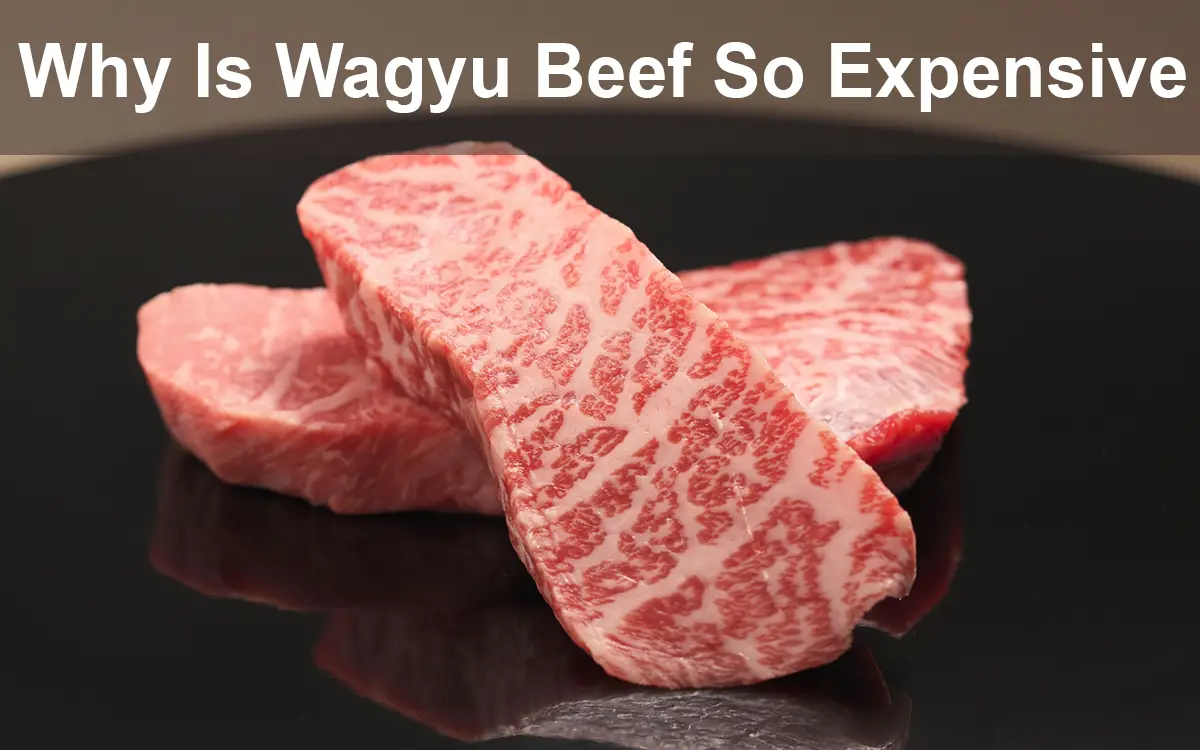 Why Is Wagyu Beef So Expensive