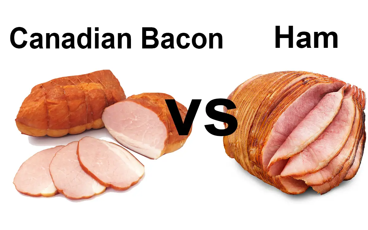 Canadian Bacon vs Ham