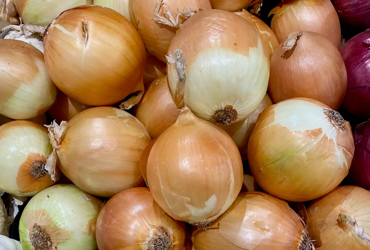 Best Onions for Burgers