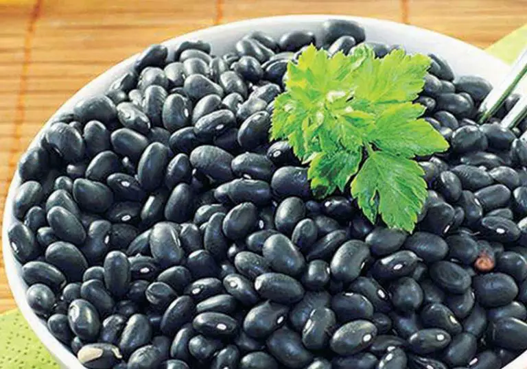 Black Beans vs Pinto Beans (Differences Between & What's Healthier